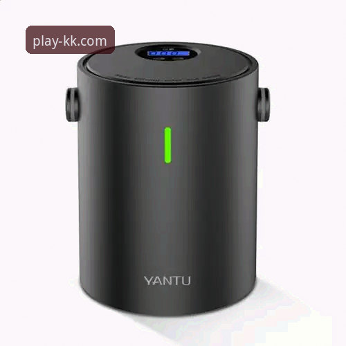 KK体育官网vs官方App：哪个更值得新手选择？全面对比体验与功能差异